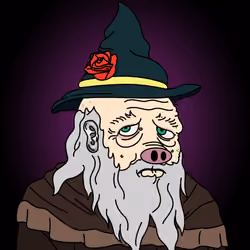 Wicked Wizard #373