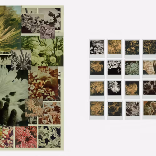 Long Short Term Memories