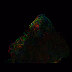 Algo Rocks Gen 1 #170