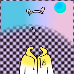 41
