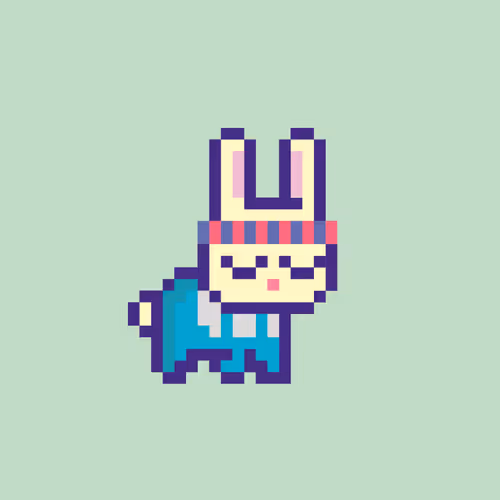 Mini Bunny Fluffy