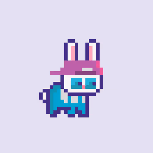 Mini Bunny Fluffy