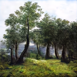 Through The Forest #18, by ClauN Monait