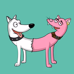 Catdogs Club #2884