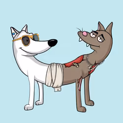 Catdogs Club #4979