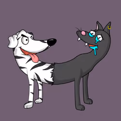 Catdogs Club #2418