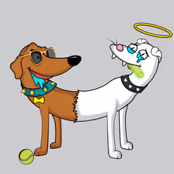 Catdogs Club #1222