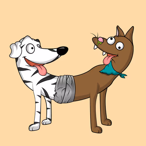 Catdogsclub