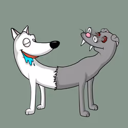 Catdogs Club #4601