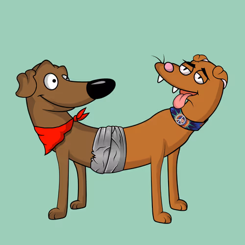Catdogsclub