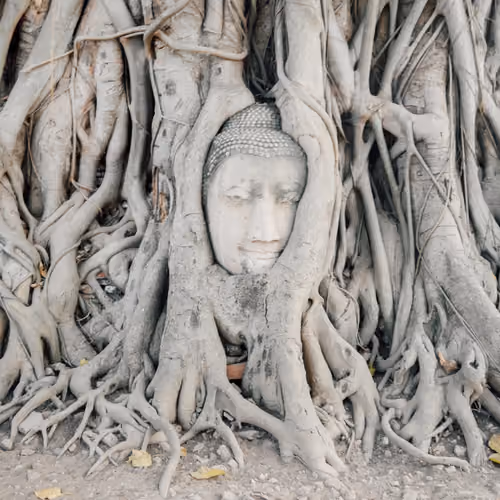 Thai Town V2