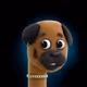 592