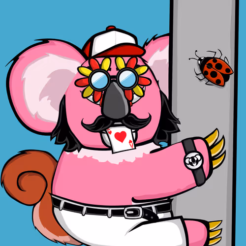 Sticky Koalas Anxiety Society