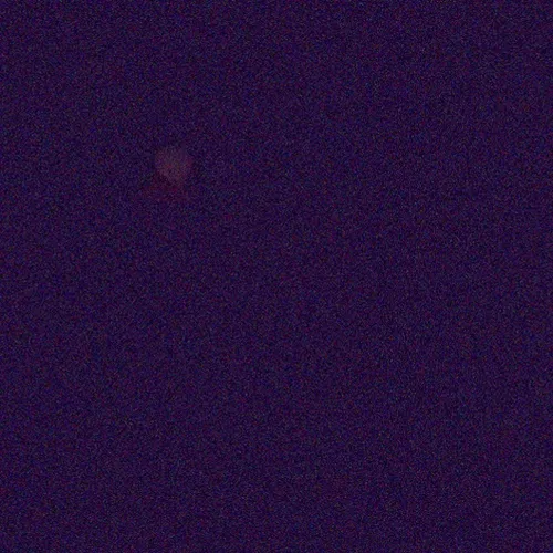 Sumptusamoris