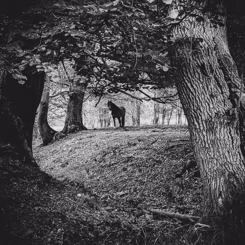 Black & White - kTkSMyCY2I