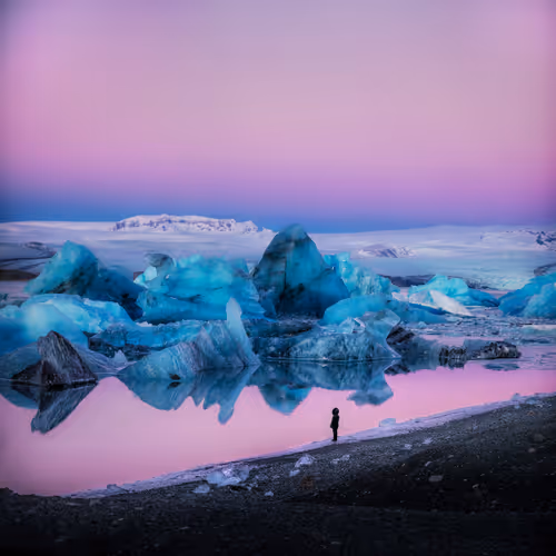 Nifty Royale X Ryan Newburn Gm Iceland
