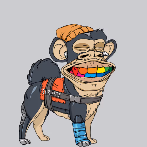 Kennel Apes