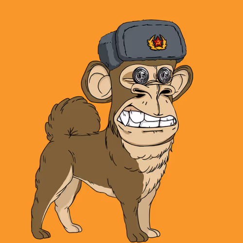 Kennel Apes