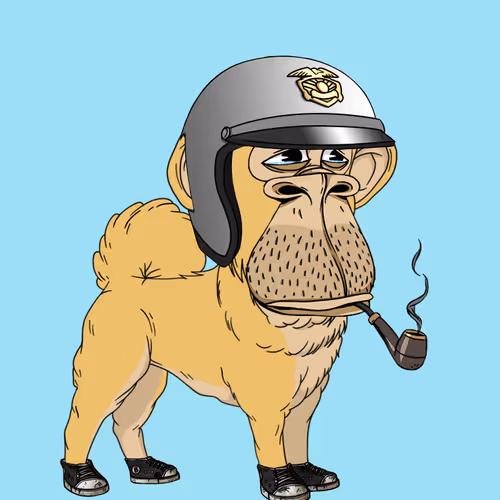 Kennel Ape #5551