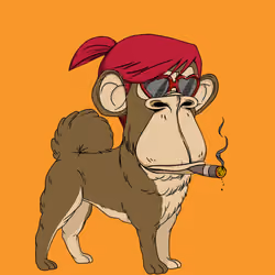 Kennel Ape #9649