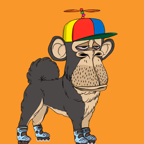 Kennel Apes
