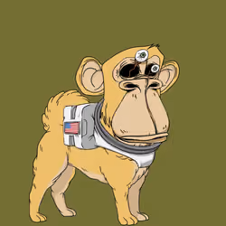 Kennel Ape #7107