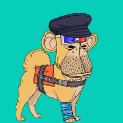 Kennel Ape #6826