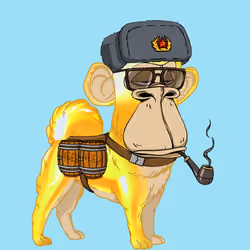 Kennel Ape #74