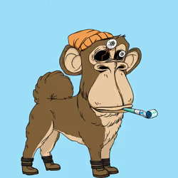 Kennel Ape #6123