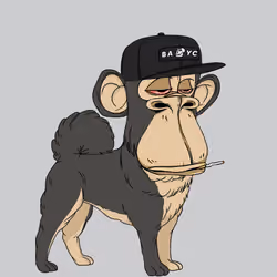 Kennel Ape #10