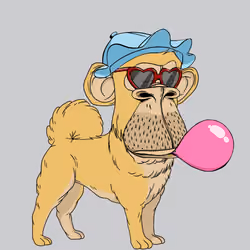 Kennel Ape #7052