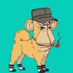 Kennel Ape #8773
