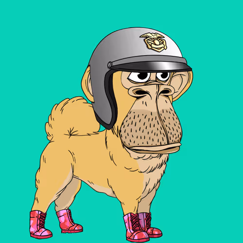 Kennel Apes