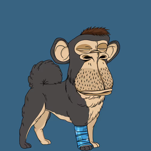 Kennel Apes
