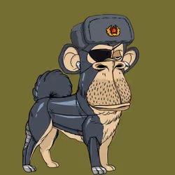 Kennel Ape #120