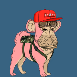 Kennel Ape #1490