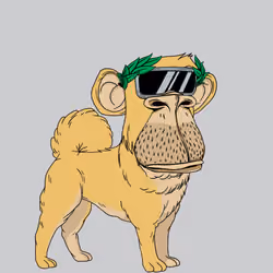 Kennel Ape #3313