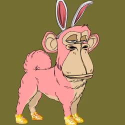 Kennel Ape #5312