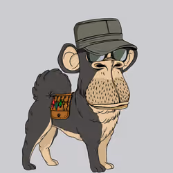Kennel Ape #5932