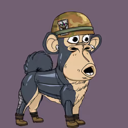 Kennel Ape #9258