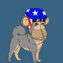 Kennel Ape #9977