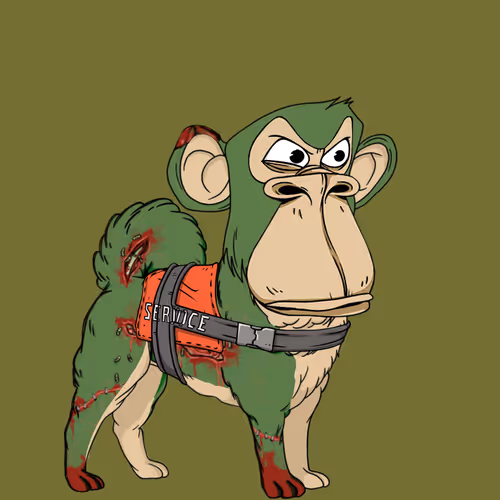 Kennel Apes