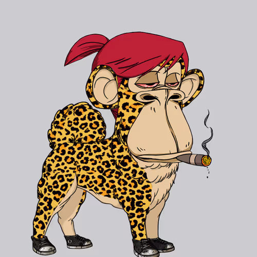 Kennel Apes