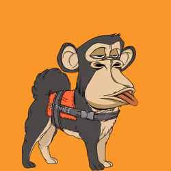 Kennel Ape #148