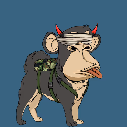 Kennel Apes