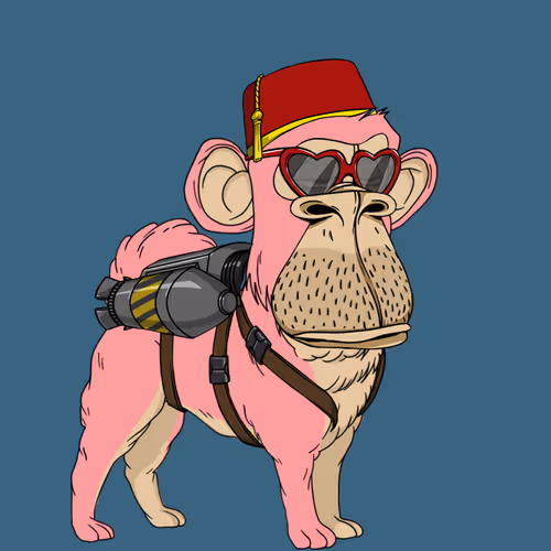 Kennel Apes
