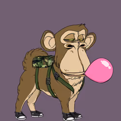Kennel Ape #7908