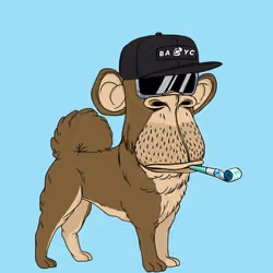 Kennel Ape #2243