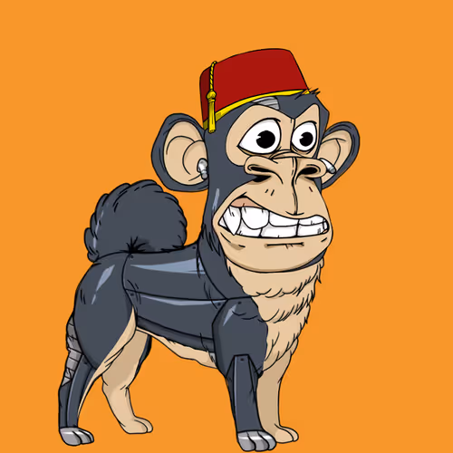 Kennel Apes