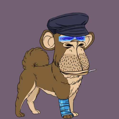 Kennel Apes